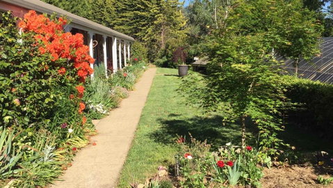 Alpine Aspects - Accommodation Cooktown 4