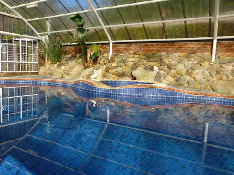 Alpine Aspects - Accommodation Cooktown 39