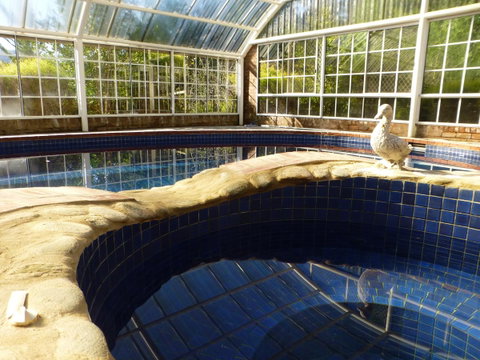 Alpine Aspects - Accommodation Cooktown 38