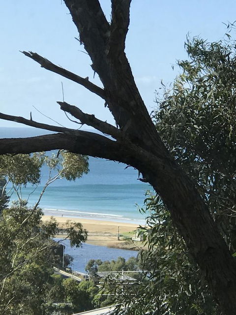 Lorne Sea View Terrace House - Accommodation Cooktown 12