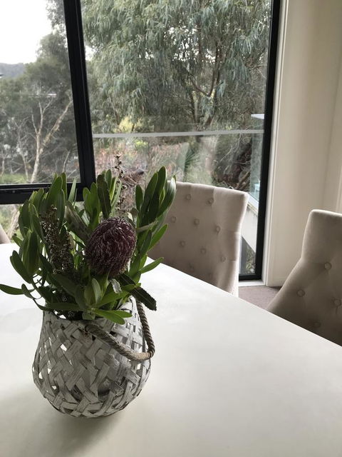 Lorne Sea View Terrace House - Accommodation Cooktown 7