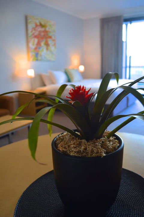 Mansfield Apartments - Accommodation Cooktown 21