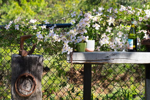 Cottage 4A - Accommodation Cooktown 4