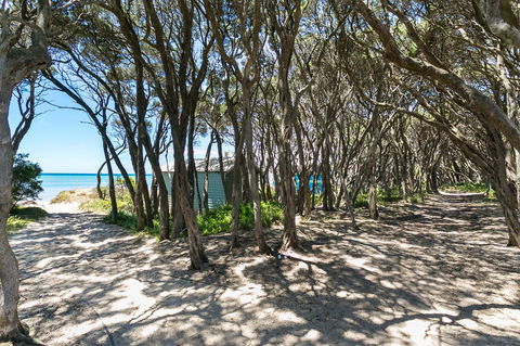 Perfect Blairgowrie Beach House - Accommodation Cooktown 17