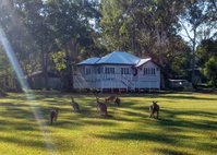 Book Peregian Beach Accommodation Vacations Accommodation Cooktown Accommodation Cooktown