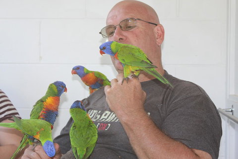 Amaroo On Mandalay, Magnetic Island - Accommodation Cooktown 33