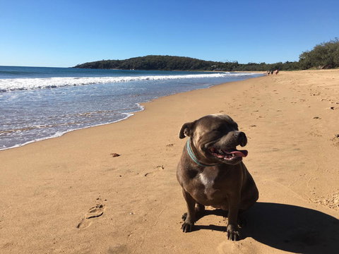 KiteSurf 1770 Beach House - Accommodation Cooktown 12