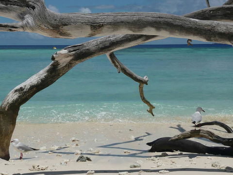 Beach Club Port Douglas Luxury Apartments - Accommodation Cooktown 23