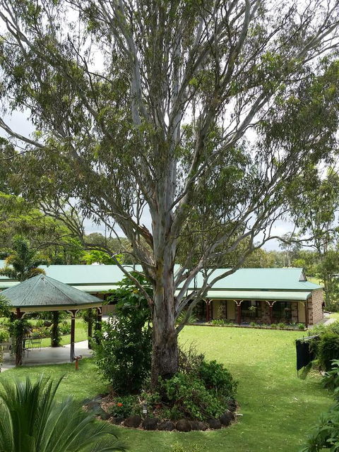 The Bearded Dragon Boutique Hotel - Accommodation Cooktown 32