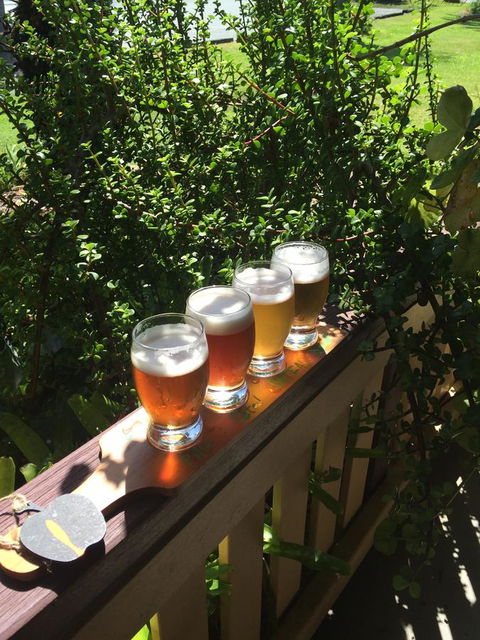 The Bearded Dragon Boutique Hotel - Accommodation Cooktown 31
