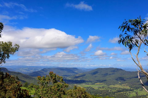 The Polish Place - Accommodation Cooktown 10