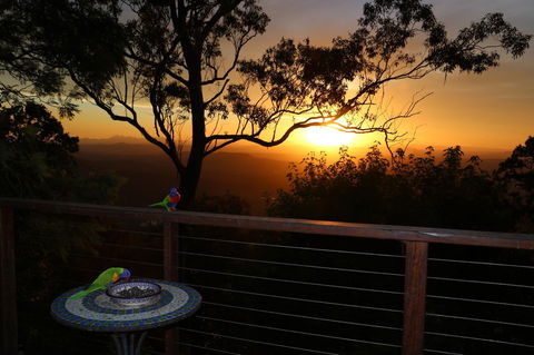 The Polish Place - Accommodation Cooktown 17