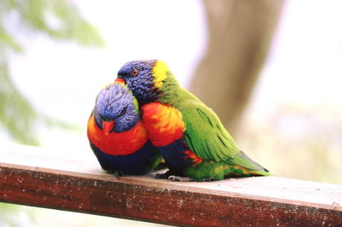 The Polish Place - Accommodation Cooktown 9