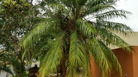 Hepburn Holiday Haven - Accommodation Cooktown 26