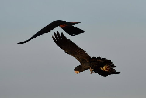 Ironbark House - Accommodation Cooktown 2