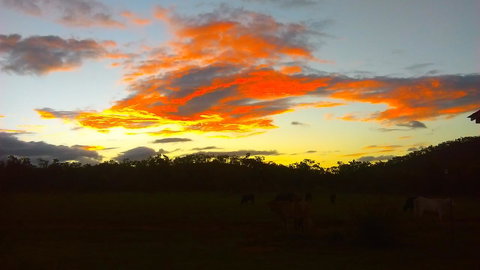 Ironbark House - Accommodation Cooktown 32
