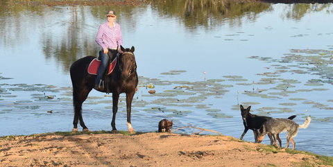 Ironbark House - Accommodation Cooktown 39