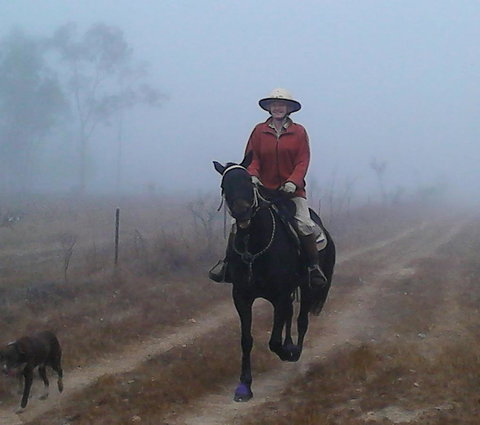 Ironbark House - Accommodation Cooktown 37