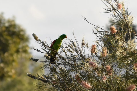 Ironbark House - Accommodation Cooktown 29