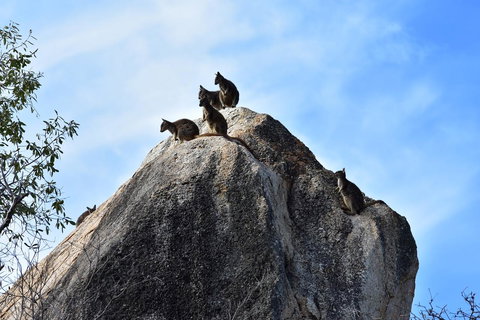 Ironbark House - Accommodation Cooktown 38