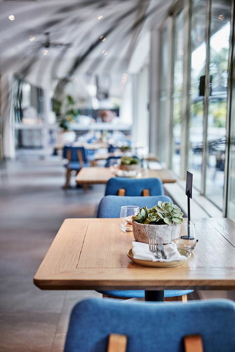 Novotel Cairns Oasis Resort - Accommodation Cooktown 19