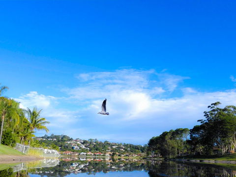 Bay Of Palms - Accommodation Cooktown 18