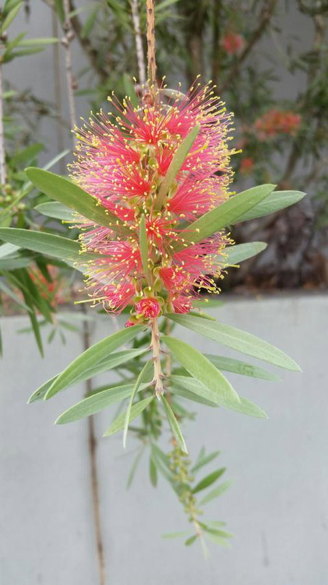 VILY Place - Accommodation Cooktown 11