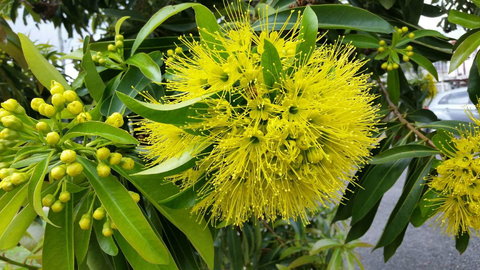 VILY Place - Accommodation Cooktown 12