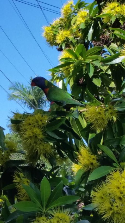 VILY Place - Accommodation Cooktown 14