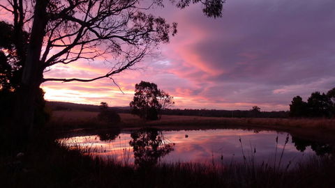 Wind Song Bed & Breakfast - Accommodation Cooktown 0