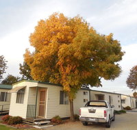 Wodonga Caravan  Cabin Park - Accommodation Cooktown