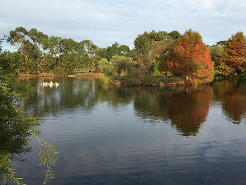 Wonderland Hobby Farm - Accommodation Cooktown 2