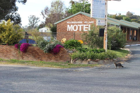 Woomargama Motel - Accommodation Cooktown 3
