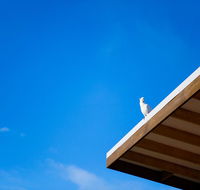 Wye Not Escape - Accommodation Cooktown