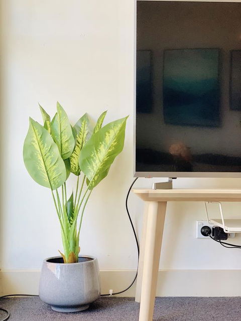ZEN Homes On Collins - Accommodation Cooktown 3