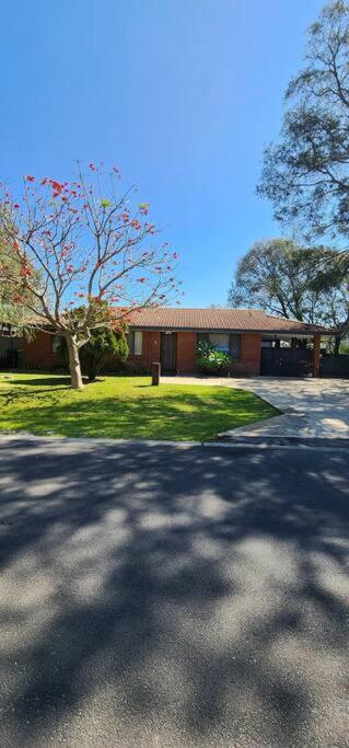 Abbey Beach Cottage - Accommodation Cooktown 1