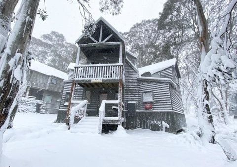 Absinthe - Accommodation Cooktown 4
