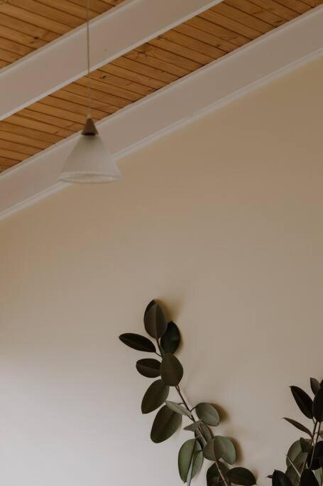 Amarela Haus - Calming Retreat Within Oceans Reach - Accommodation Cooktown 1