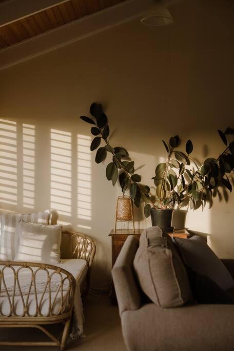 Amarela Haus - Calming Retreat Within Oceans Reach - Accommodation Cooktown 2