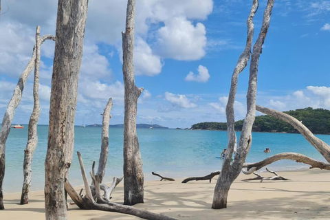 ARay At Cooee Bay - Apt B - Beach House Yeppoon - Accommodation Cooktown 1