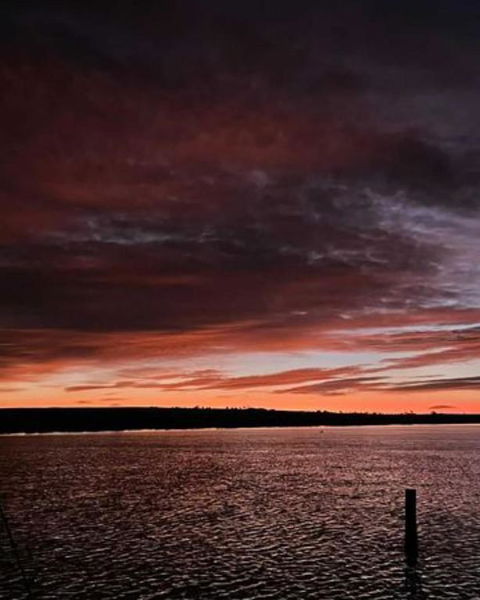 Ark-imedes - Unique Float Home On The Murray River - Accommodation Cooktown 4