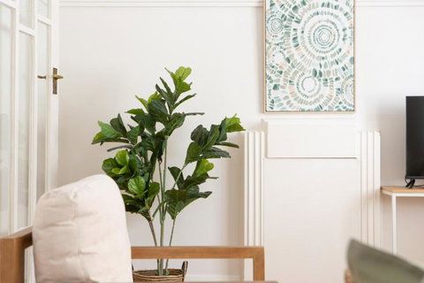 Art Deco Coastal Living, Minutes To The Sand - Accommodation Cooktown 1