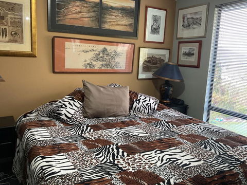 Art House - Accommodation Cooktown 4