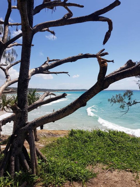 At Melaleuca 3 - Accommodation Cooktown 2