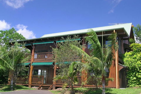 Atherton Blue Gum - Accommodation Cooktown 0