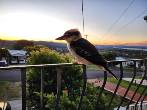 Bateau Bay Family Escape - Magical Sunset Views - Accommodation Cooktown 1