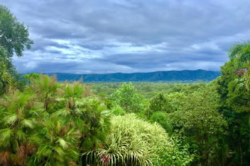 Daintree Manor B&B with Accommodation Cooktown
