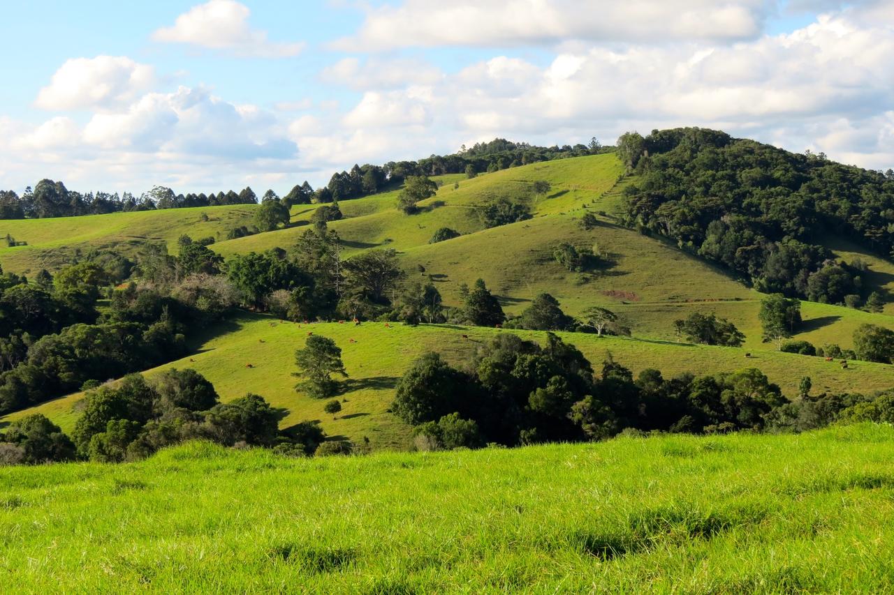 Reesville QLD Accommodation Cooktown