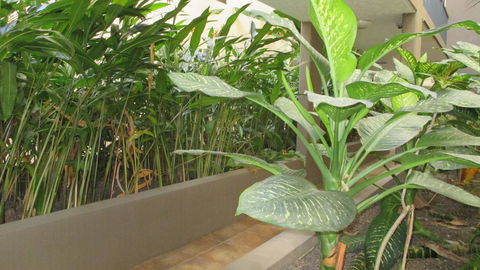 Edge Apartments Cairns - Accommodation Cooktown 39