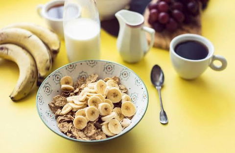 Private Apartment With Scenic Gardens - Accommodation Cooktown 2